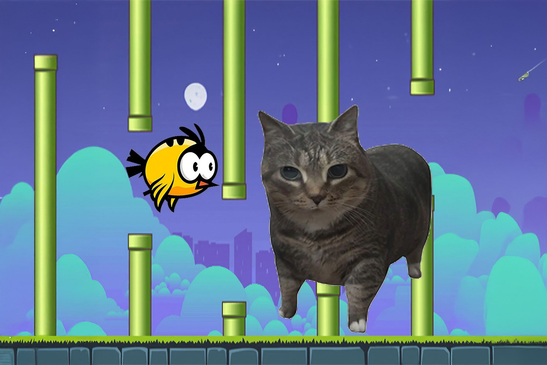 Flappy Bird Spinning oia oia Cat