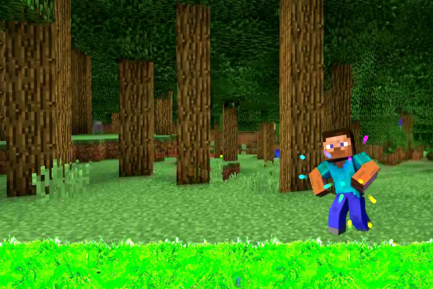 Minecraft World Adventure