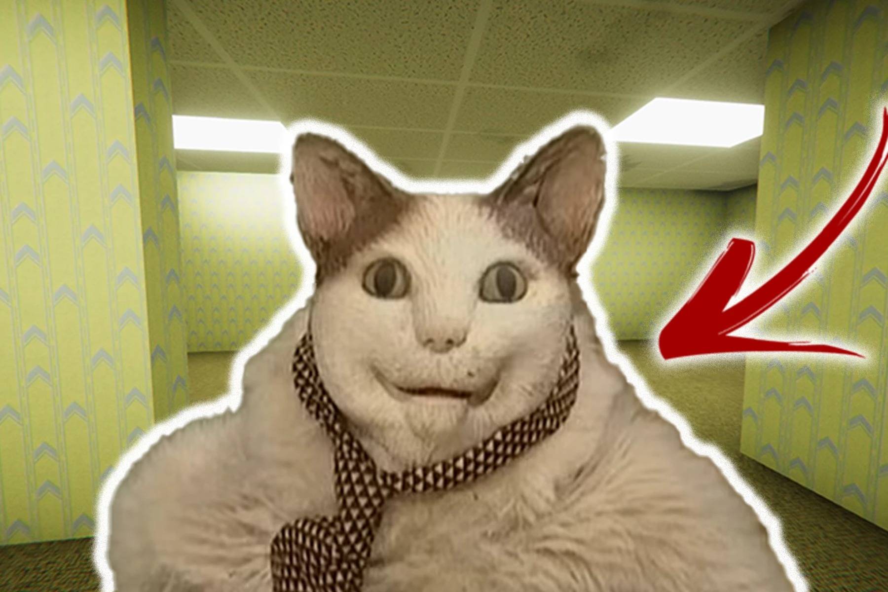 Boo, Scared? Escape from Backrooms